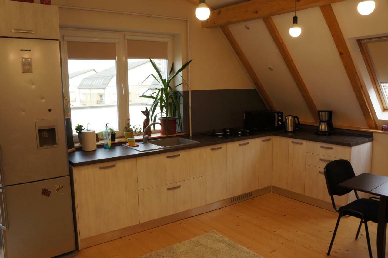 Leisure Apartmens Brasov公寓 外观 照片
