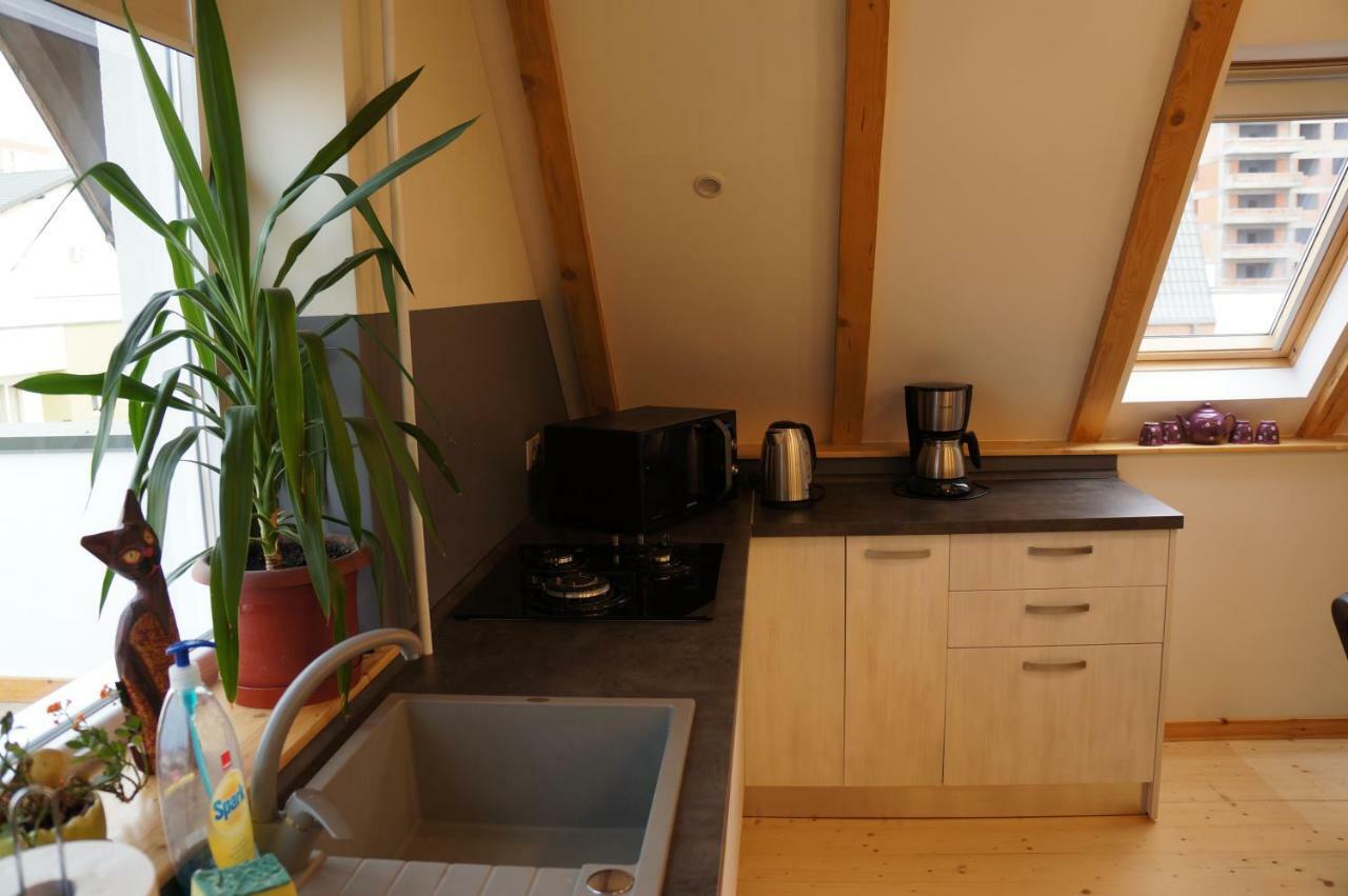 Leisure Apartmens Brasov公寓 外观 照片