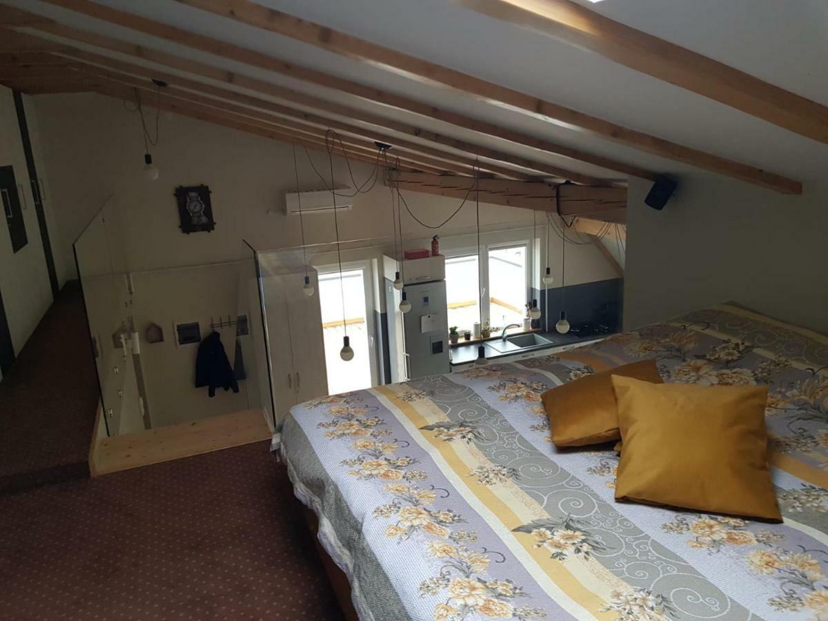 Leisure Apartmens Brasov公寓 外观 照片