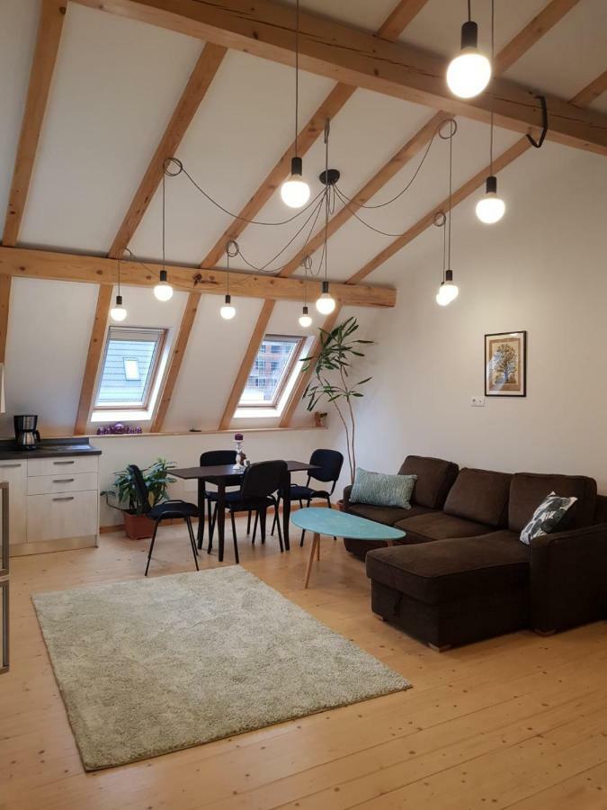 Leisure Apartmens Brasov公寓 外观 照片