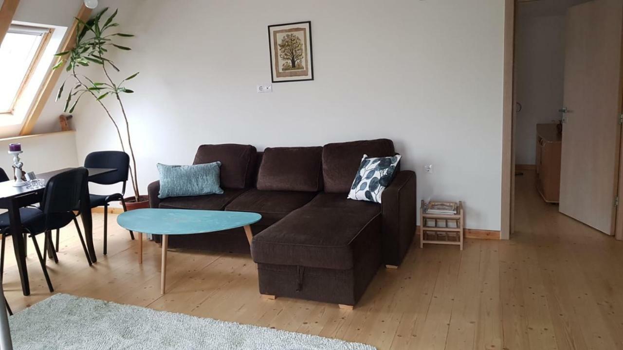 Leisure Apartmens Brasov公寓 外观 照片