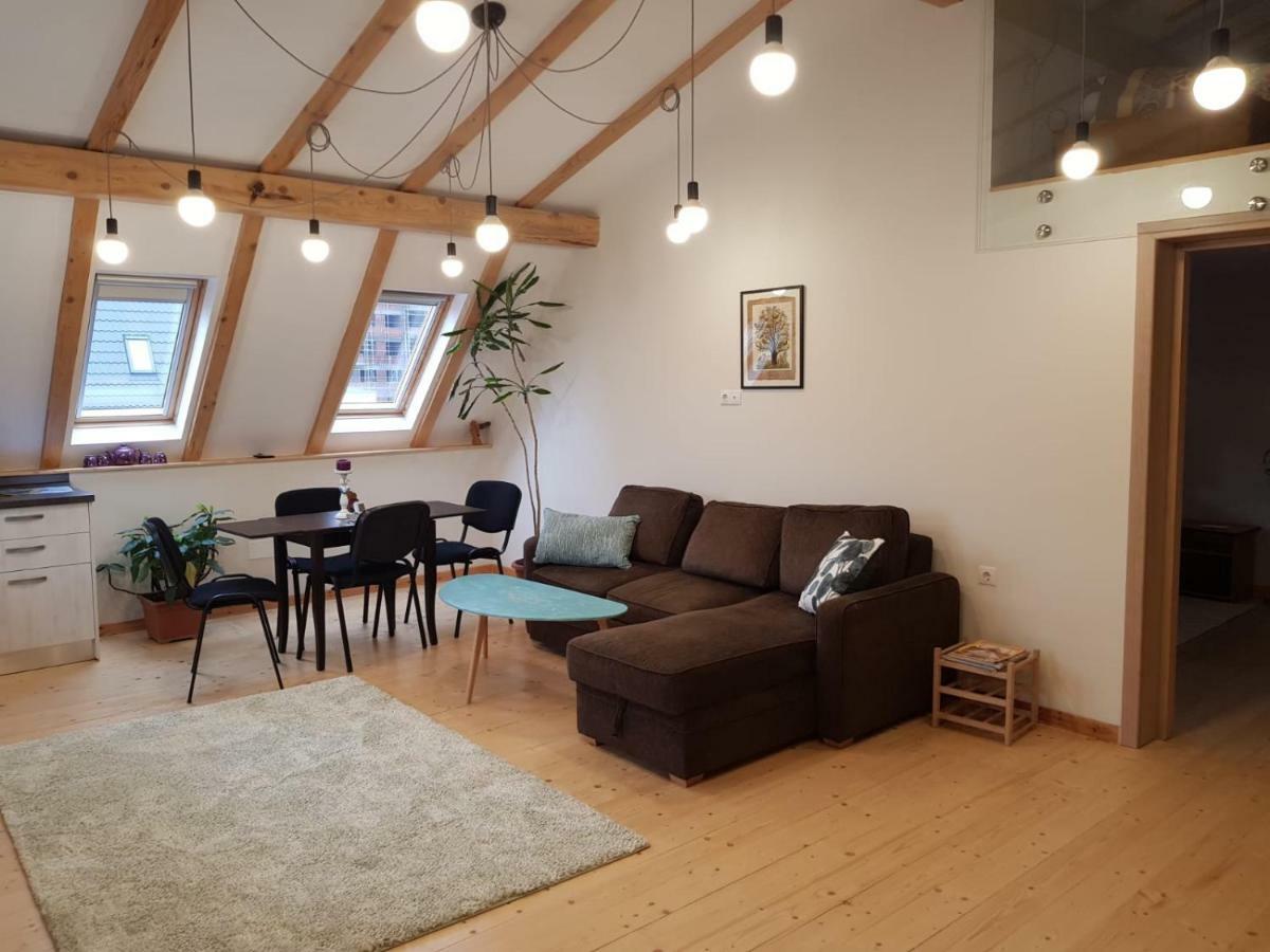 Leisure Apartmens Brasov公寓 外观 照片